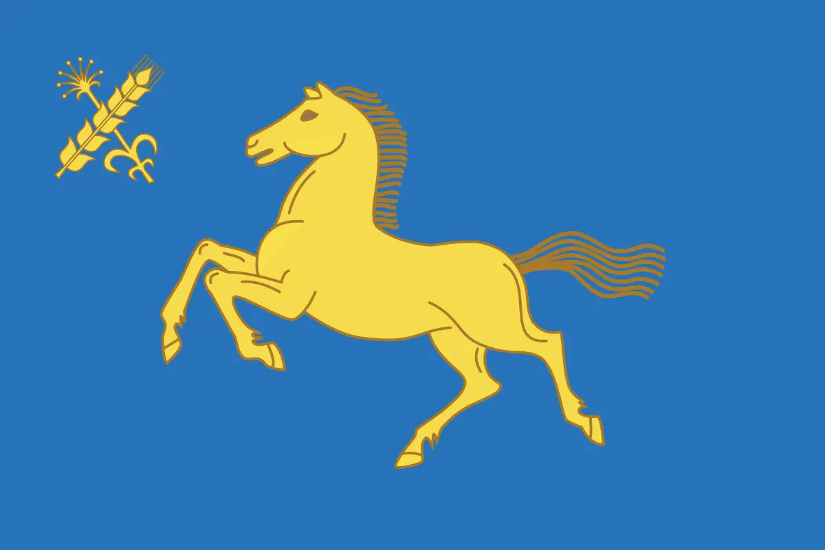 Флаг: Дуванский район